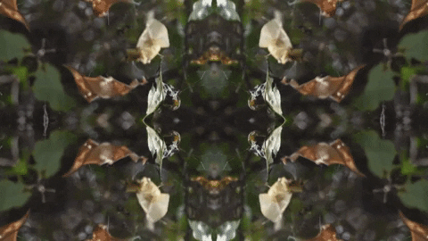 Art Love GIF by jorgemariozuleta