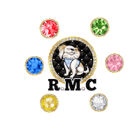 Gold Bling Sticker by Pimp Yo Pets