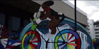 delaware GIF