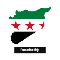 Syria Flag Sticker by Formación Ninja