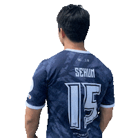 Football Sport Sticker