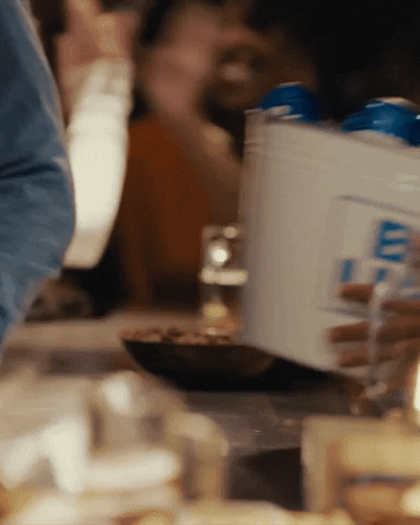 GIF by Bud Light