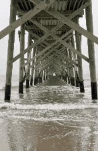 Loveoki nc oak oki oakisland GIF