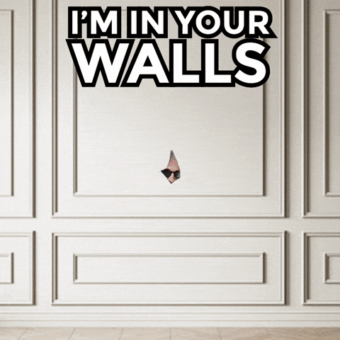 Creeping Peeping Tom GIF