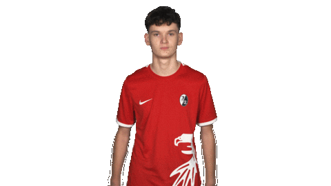 Sc Freiburg Applause Sticker by Bundesliga