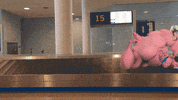 GIF by Monty Python