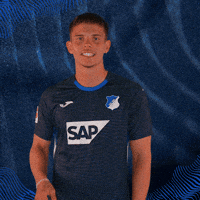 Sport Bundesliga GIF by TSG Hoffenheim