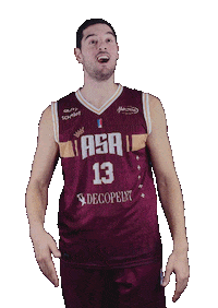 Basket Alliance Sticker by BC GRIES OBERHOFFEN