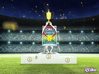 allezlesbleus #euro2016 #equipedefrance #goal #bleus #stop #football #france #illiko #soccer #victoi GIF by ILLIKO