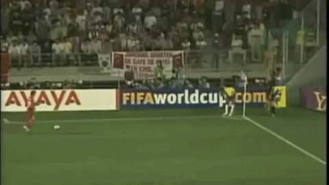 world cup brazil GIF