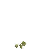 Plants Growing Sticker by Meta
