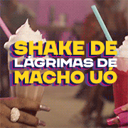 GIF by Visit Recife