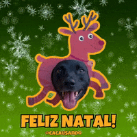 Dog Snow GIF