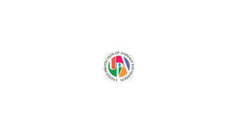 Upa Sticker by upafoundation