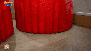 Angry Cat GIF by HangryPetz