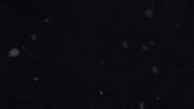 Jumping Team Usa GIF by U.S. Ski & Snowboard Team