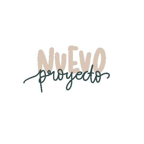 Project Nuevo Sticker