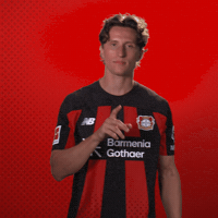 Bayer 04 Shut Up GIF by Bayer 04 Leverkusen