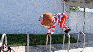 Ncaa Sports GIF by Ohio State Athletics