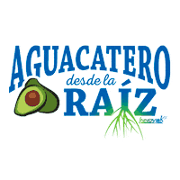 Avocado Raiz Sticker by Innoval Global