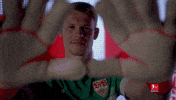Vfb Stuttgart Football GIF by Bundesliga