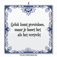 Moment Wijsheid GIF by Tegelspreuken.nl