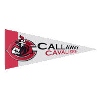 High School Football Sticker by GPB Sports