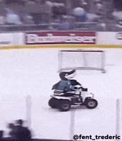 San Jose Sharks Sj Sharkie GIF