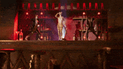 Cat Meow GIF by Cats Movie