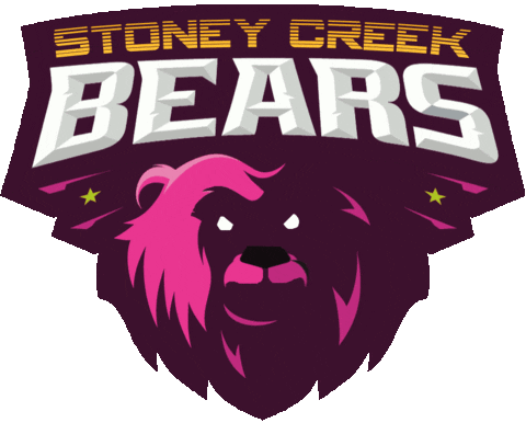 F45Stoneycreek giphyupload f45stoneycreek f45 stoney creek f45 stoney creek bears Sticker