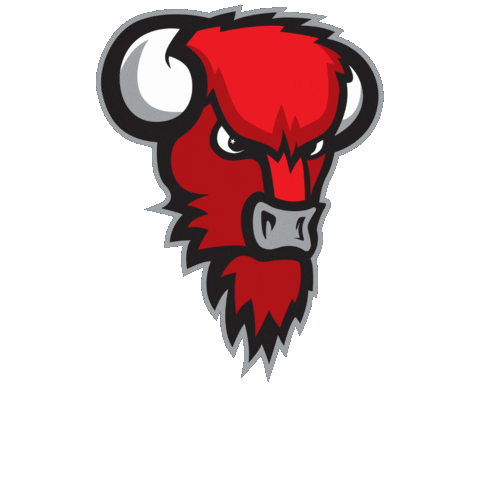 Game Day Basketball Sticker by Bisons