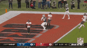 Dallas Cowboys Football GIF by NFL