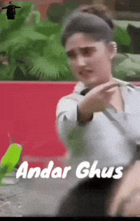Bigg Boss Tanya GIF