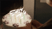 happy birthday GIF