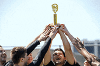 WesternIllinoisUniversity school team college education GIF