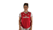 Arsenal Women Ok Sticker by Barclays FAWSL