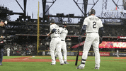 Celebrate Major League Baseball GIF by MLB