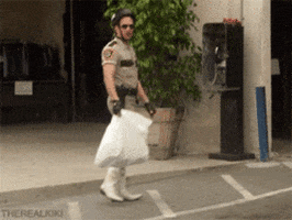 reno 911 GIF