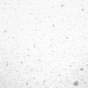 itsphotoshop GIF