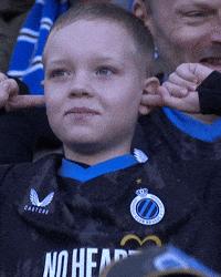 Fans GIF by Club Brugge