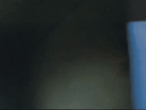 Footage Oaf GIF by jorgemariozuleta