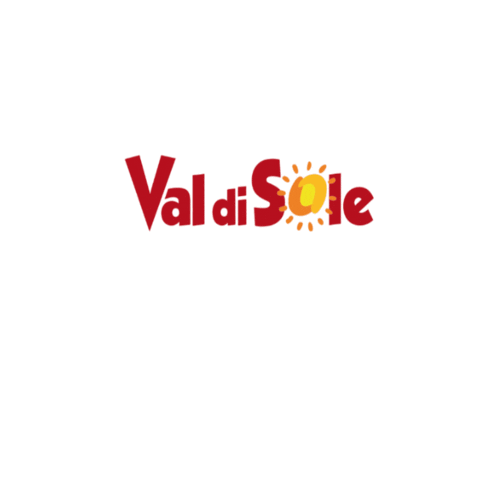 valdisole  Sticker