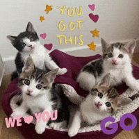 You Got This Go For It GIF