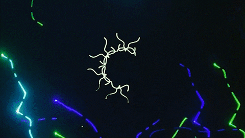 Get On Colors GIF by ROYAL PRISMATIC