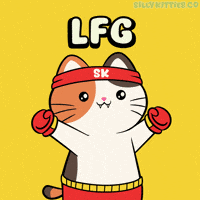 Lets Go Cute Cat GIF by Silly Kitties