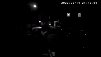 Man Catches Delivery Driver Eating One of His Chips on Doorbell Camera
