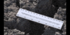 Education Biology GIF by DIIMSA Stock