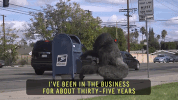 costume gorilla GIF by indigenous-media