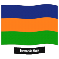 Castilla Y Leon Flag Sticker by Formación Ninja