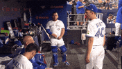 Blue Jays Baseball GIF by Toronto Blue Jays
